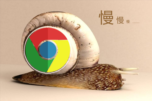 网站打开速度很慢